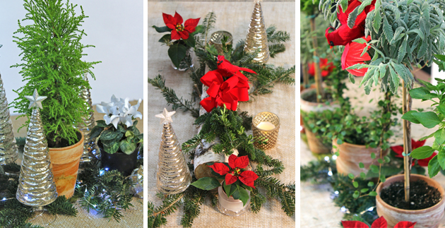 One Table, Three Ways: Festive Holiday Tablescapes