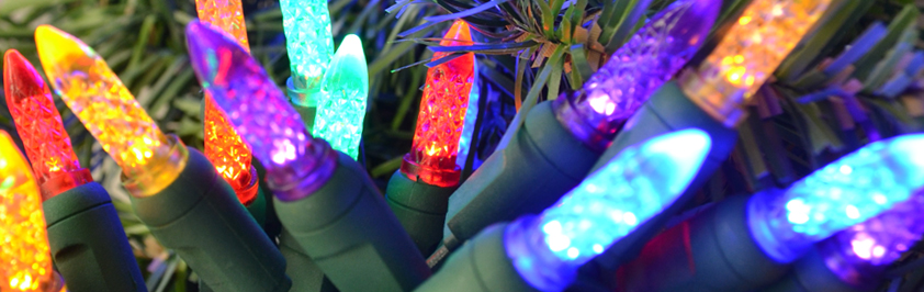 Product Spotlight: LED Christmas Lights