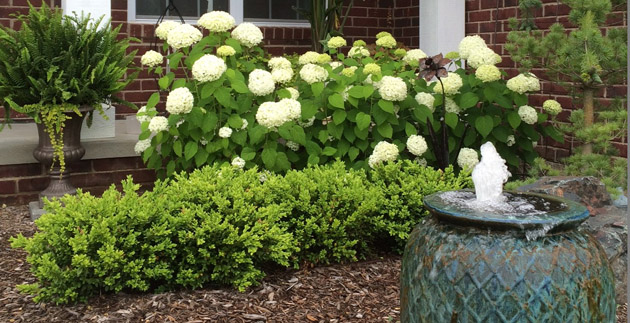 Product of the Month: A Water Feature