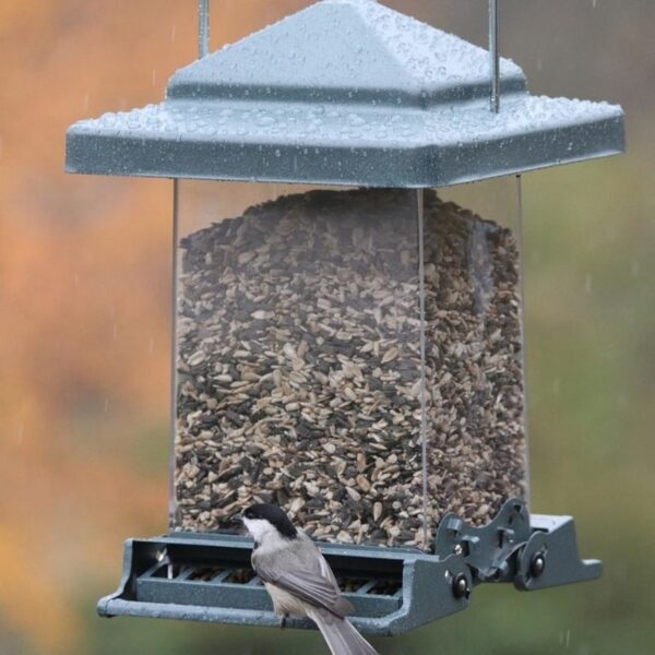 Vista Squirrel Proof Bird Feeder