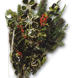 Evergreen Holly Bunch