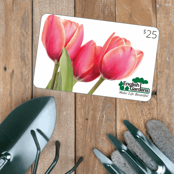$25 Gift Card Tulips