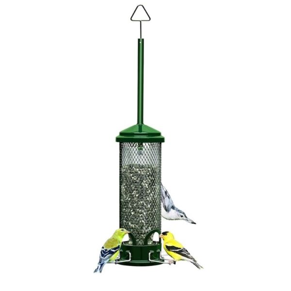 Squirrel Buster Mini Bird Feeder