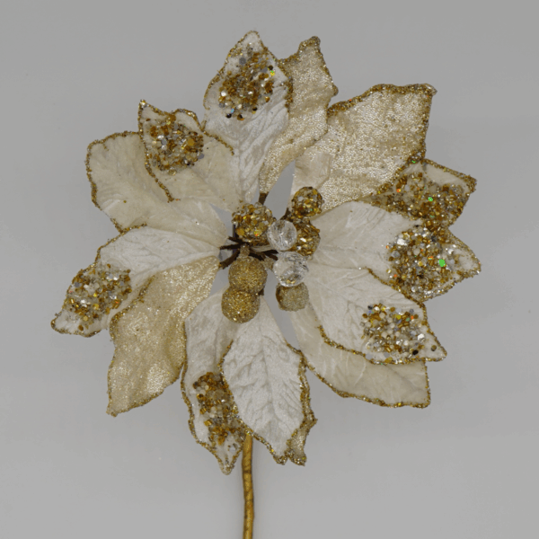 Ivory and Gold Poinsettia