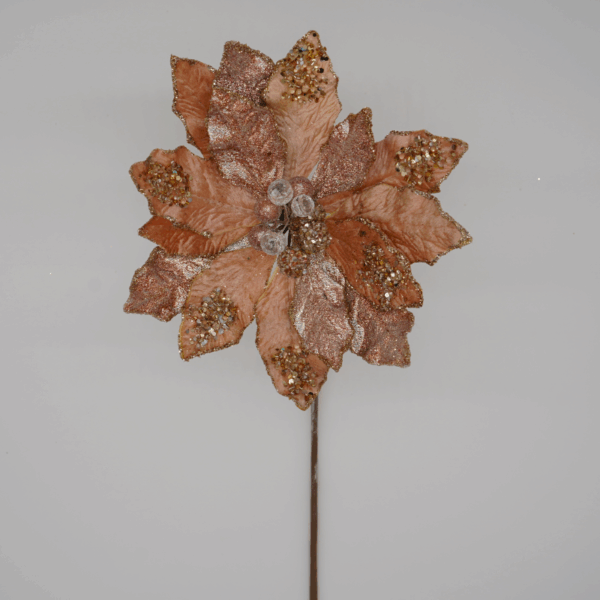 Rose Gold Poinsettia
