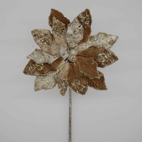 Champagne and Platinum Poinsettia