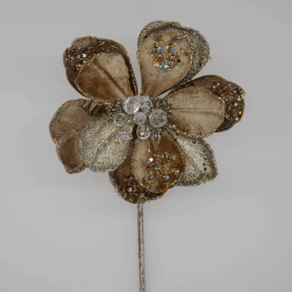 Champagne and Platinum Magnolia