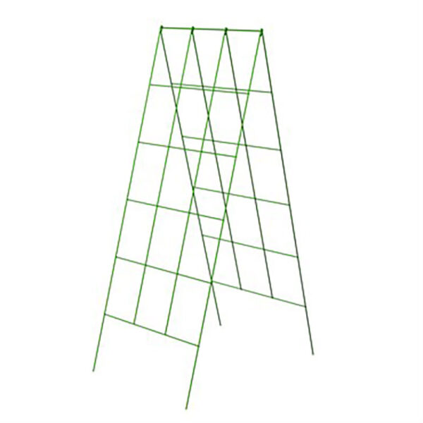 48 inch A Frame Trellis