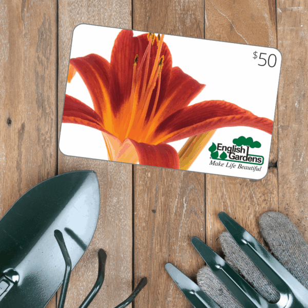 $50 Gift Card Lily