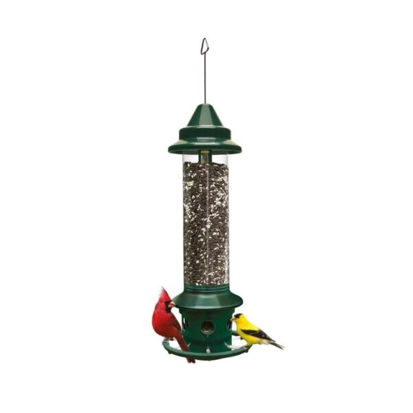 Squirrel Buster Plus Bird Feeder