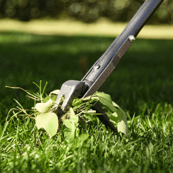 Yard Butler Rocket Weeder