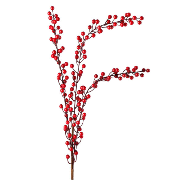 Red Berry Spike Branch