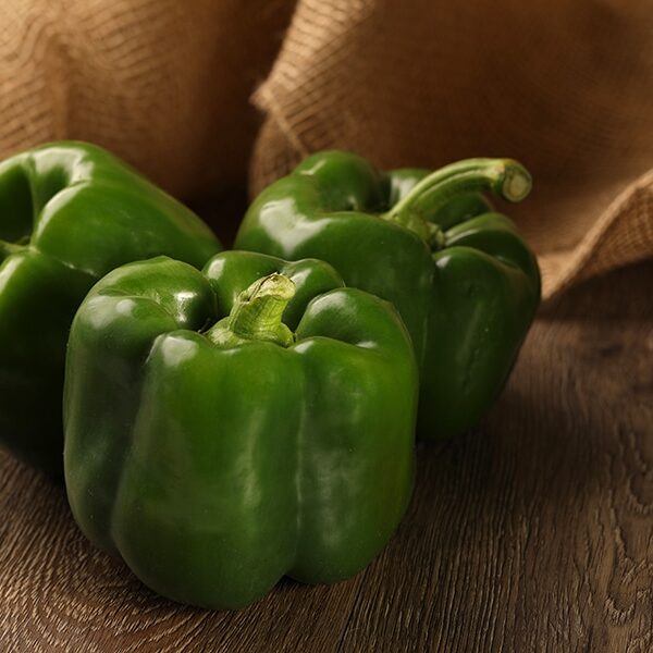 Proven Winners Peppers Bell Boy