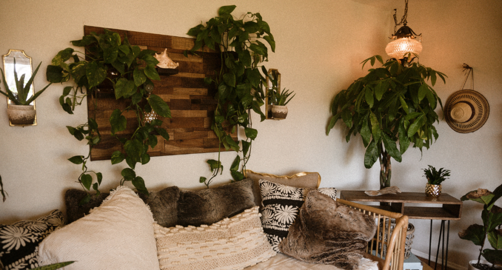 Surround Yourself with Nature