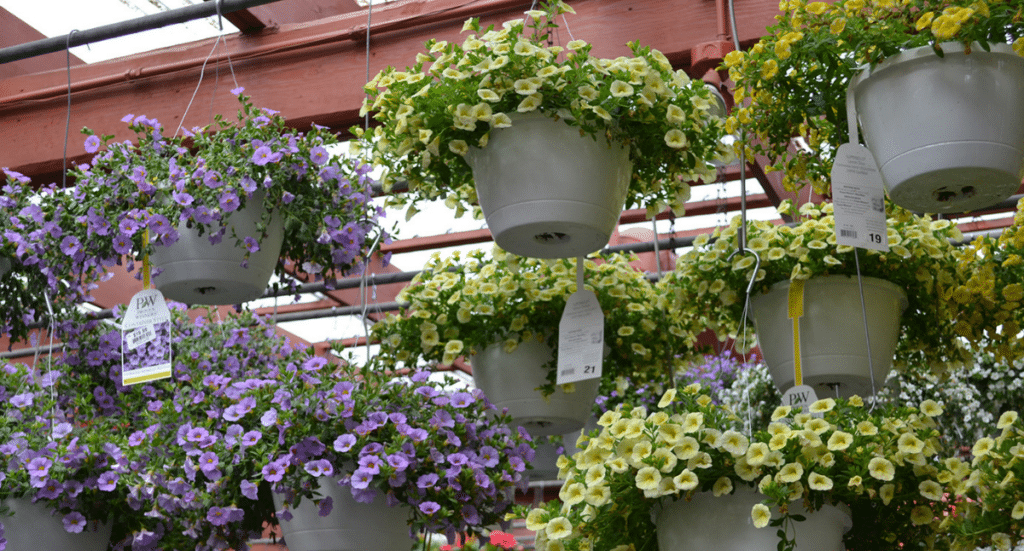 4 Ways to Use Hanging Baskets