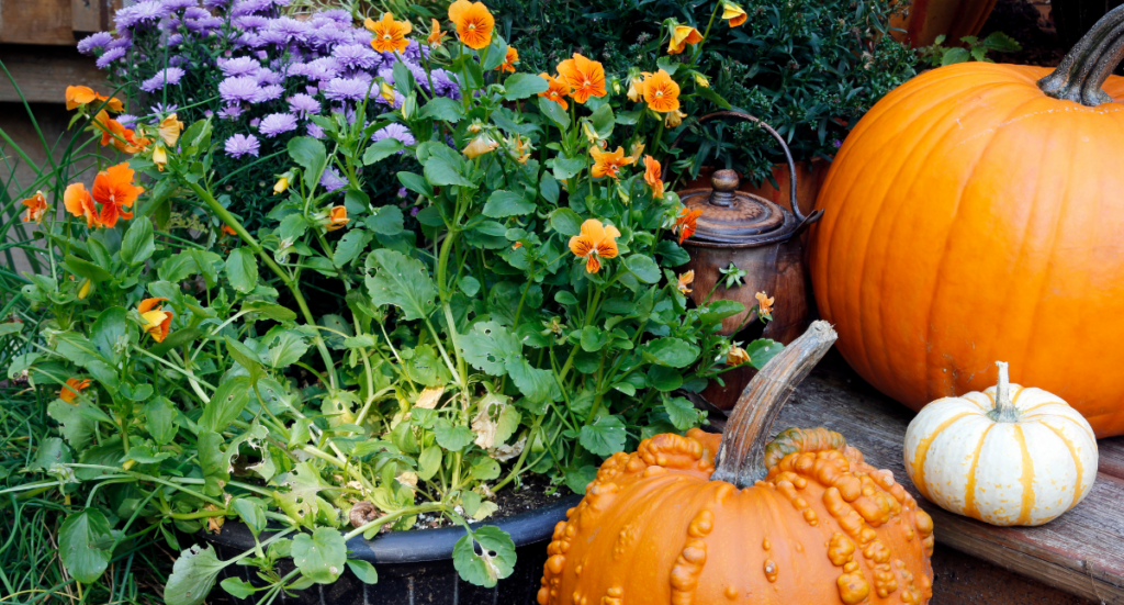Why Fall is a Great Time to Plant