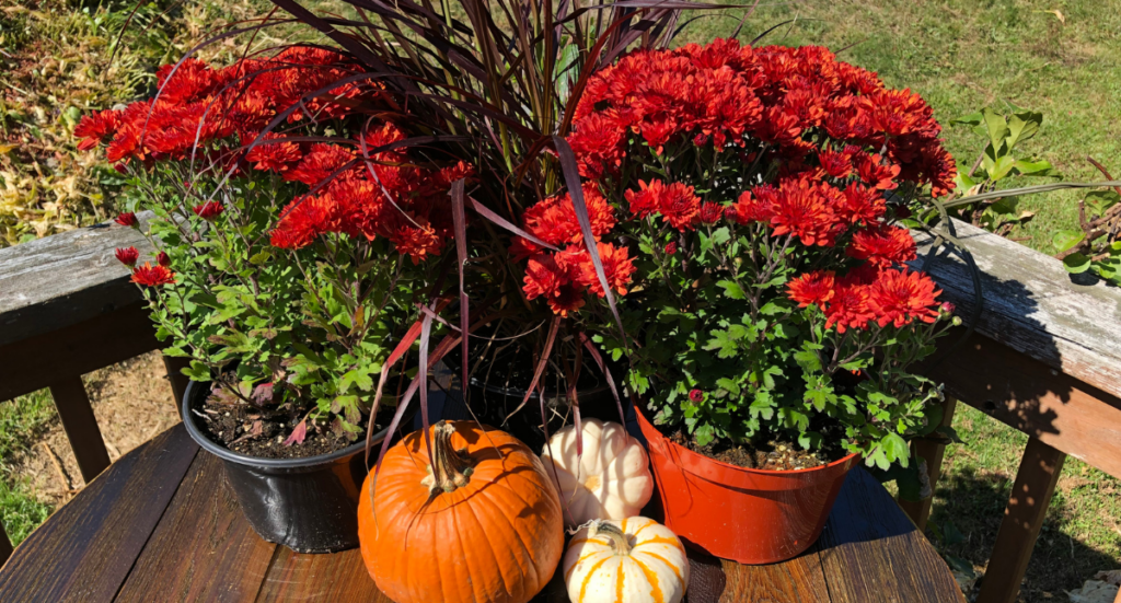 Freshen Up Planters for Fall