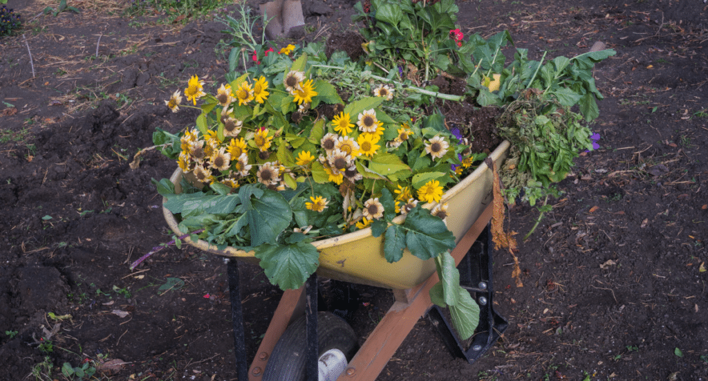 October Gardening Tips