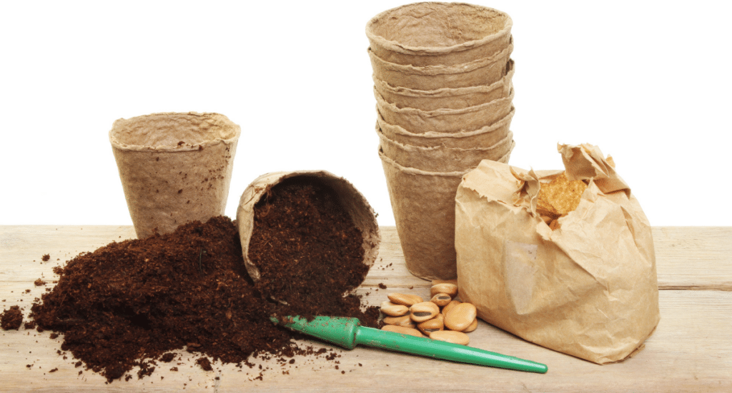 10 Easy Seeds to Start Indoors this Winter