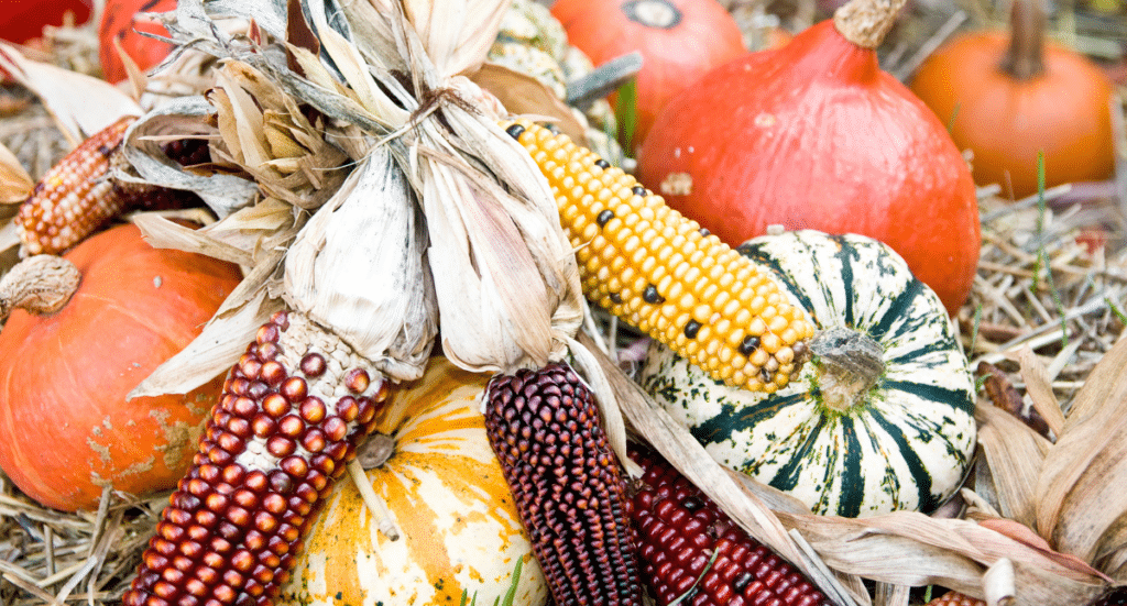 Product Spotlight: Michigan Grown Fall Harvest