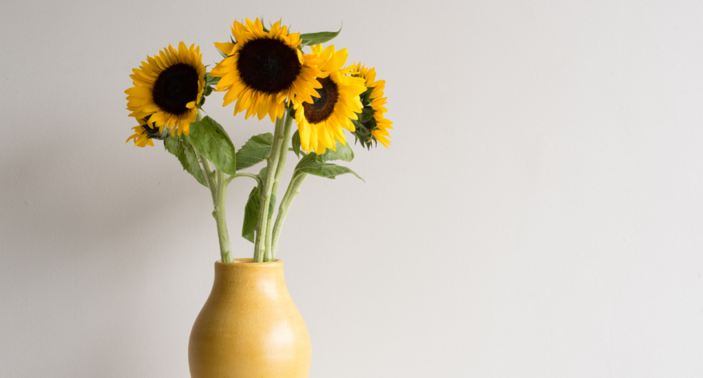 The Powerful Benefits of Flowers