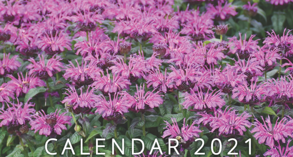 English Gardens 2021 Wall Calendar