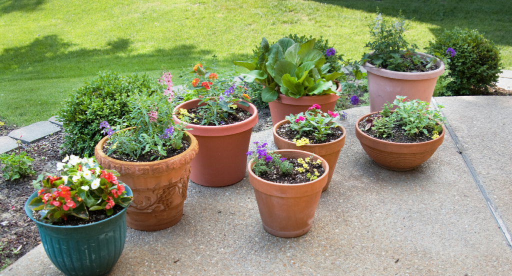 Creating a Mosquito Repelling Container