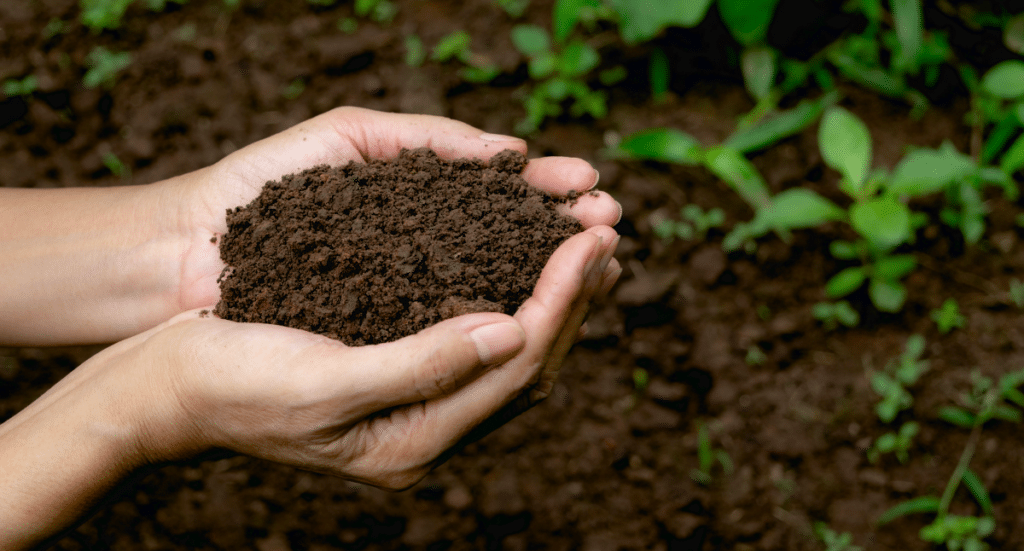 Soil-The Secret to Gardening Success