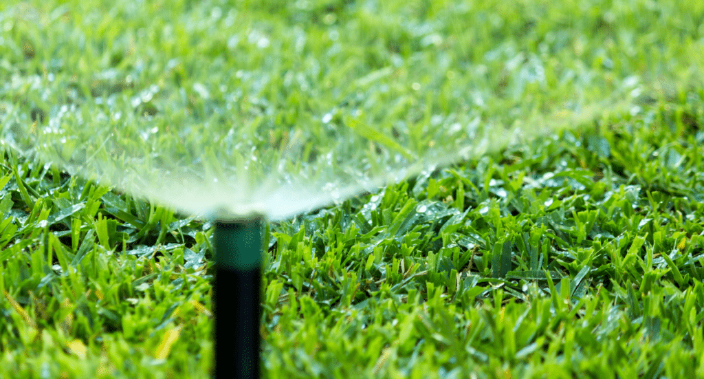 Summer Lawn Care Tips