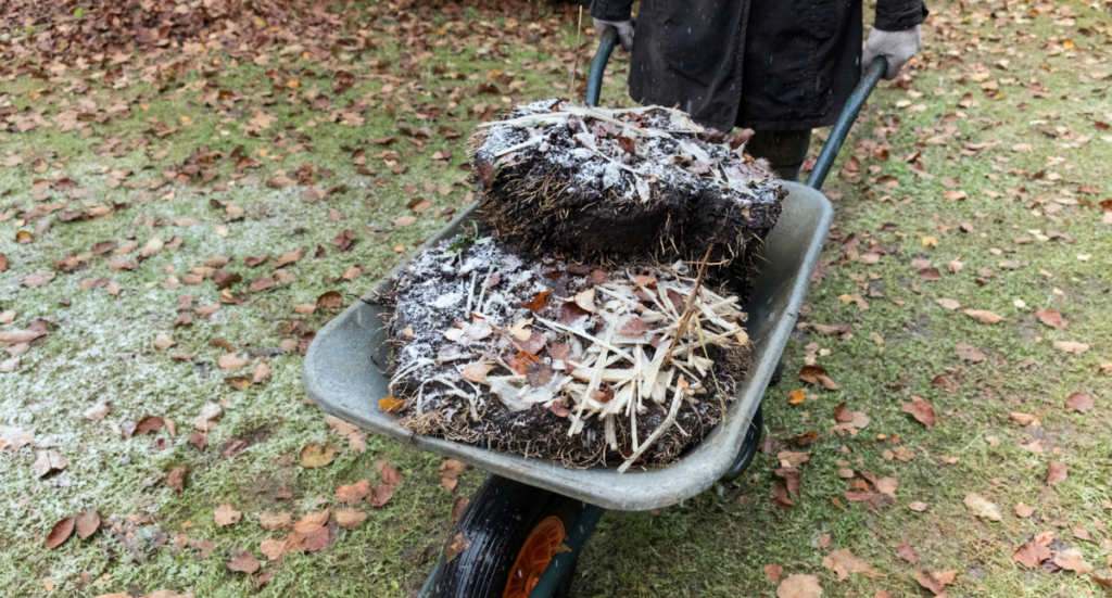 February Gardening Tips