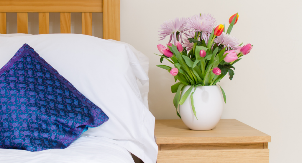 Plants and Flowers Bring Happiness: March Gardening Tips