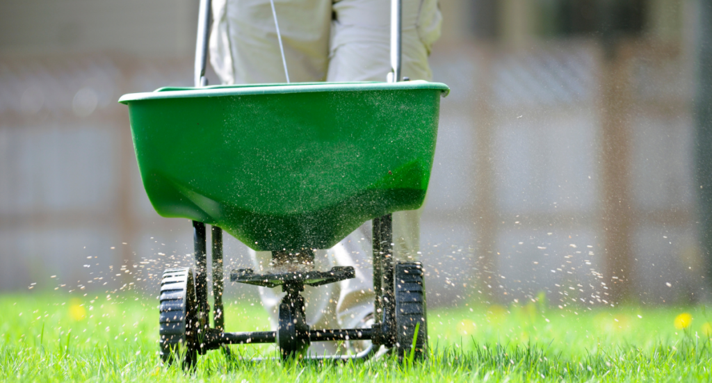 How to Care for your Spring Lawn