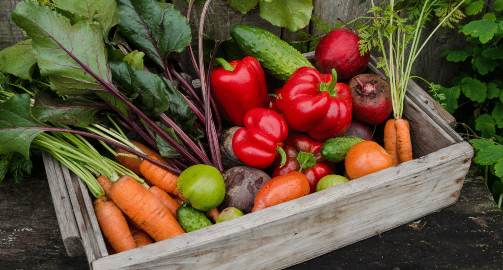 Vegetable Gardening 101