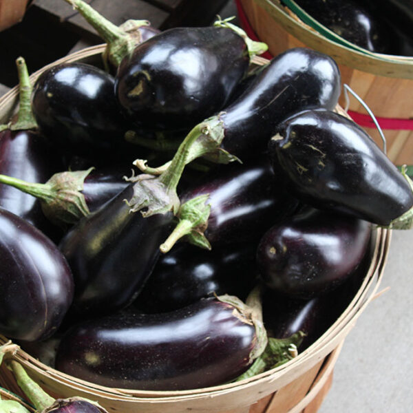 Chef Jeff Classic Eggplant