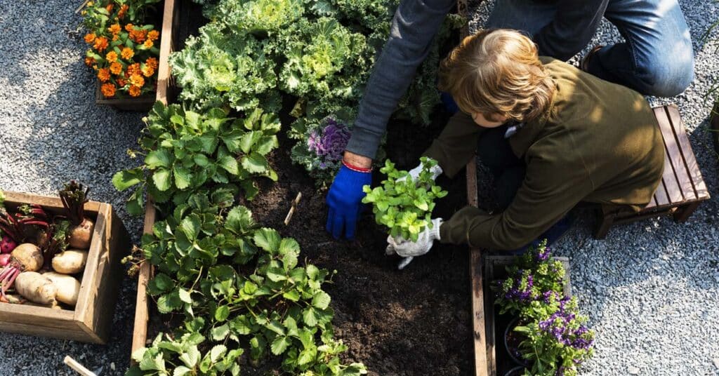 Recipes: Celebrate Acorn Squash Day September 7