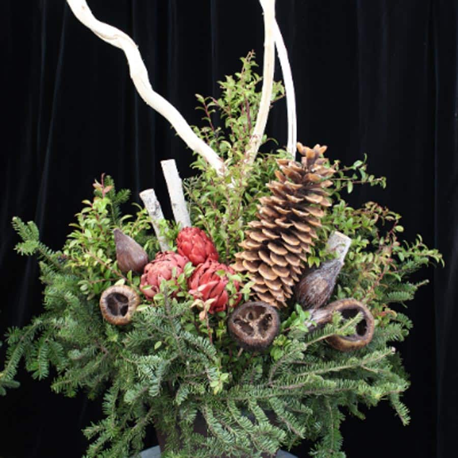 How to Create an Evergreen Container Garden