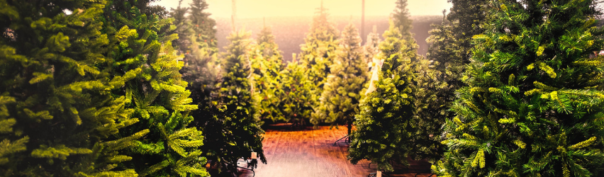 A Guide to Life-like Christmas Trees