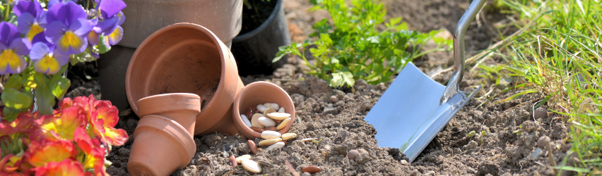 Fall is for Planting