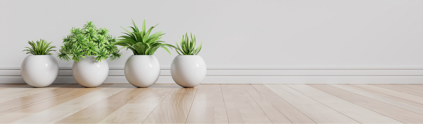 How to Find the Perfect Plant for You