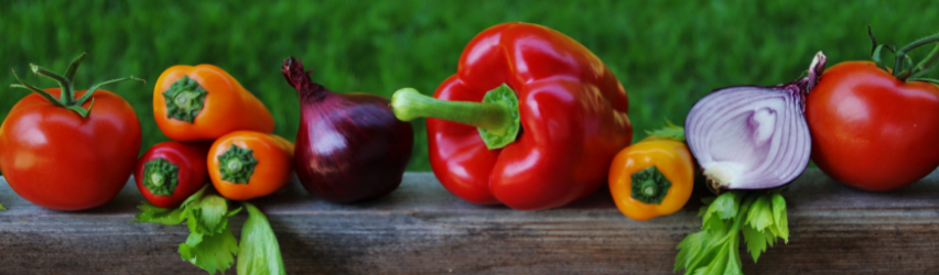 Planting a Vegetable Garden