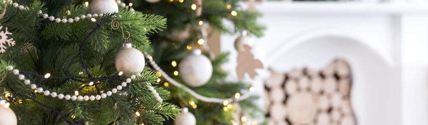 Selecting the Perfect Christmas Tree