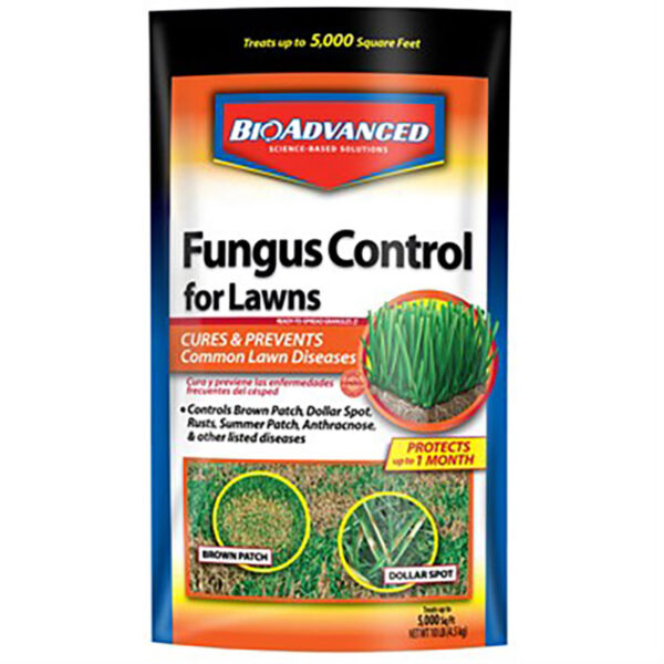 Fungus Control for Lawns