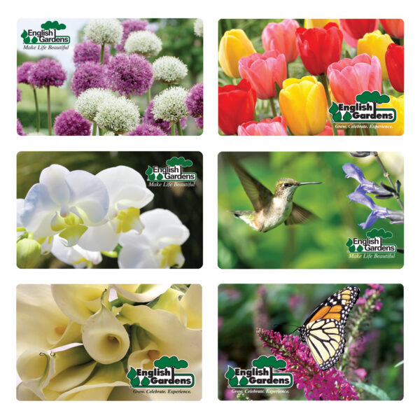 Gift Card - Choose an amount