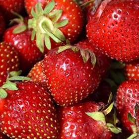 Delizz Strawberry 6" pot - Chef Jeff