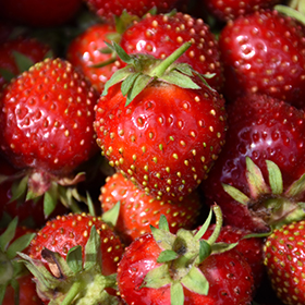 Eversweet Strawberry 4.25"/quart pot - Chef Jeff