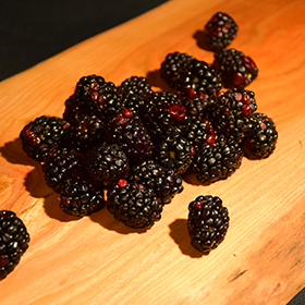 Arapaho Blackberry 6" pot - Chef Jeff