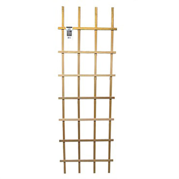 Ladder Trellis