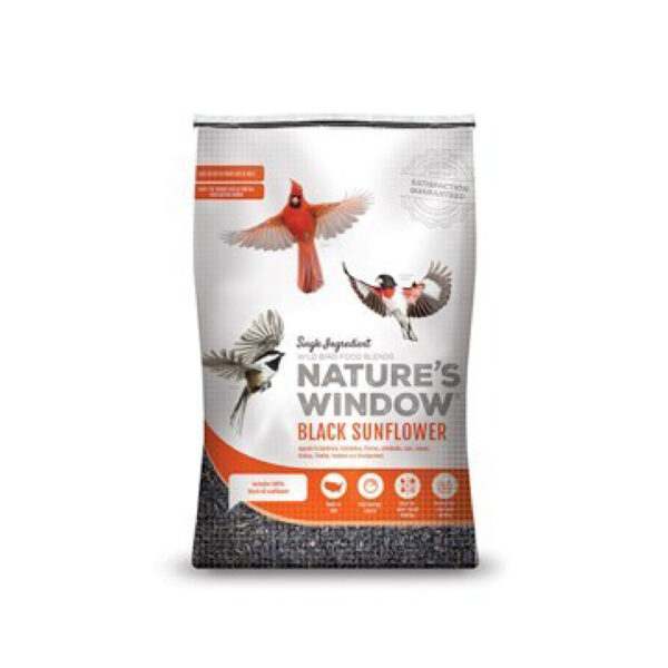 Nature's Window Black Sunflower Seed