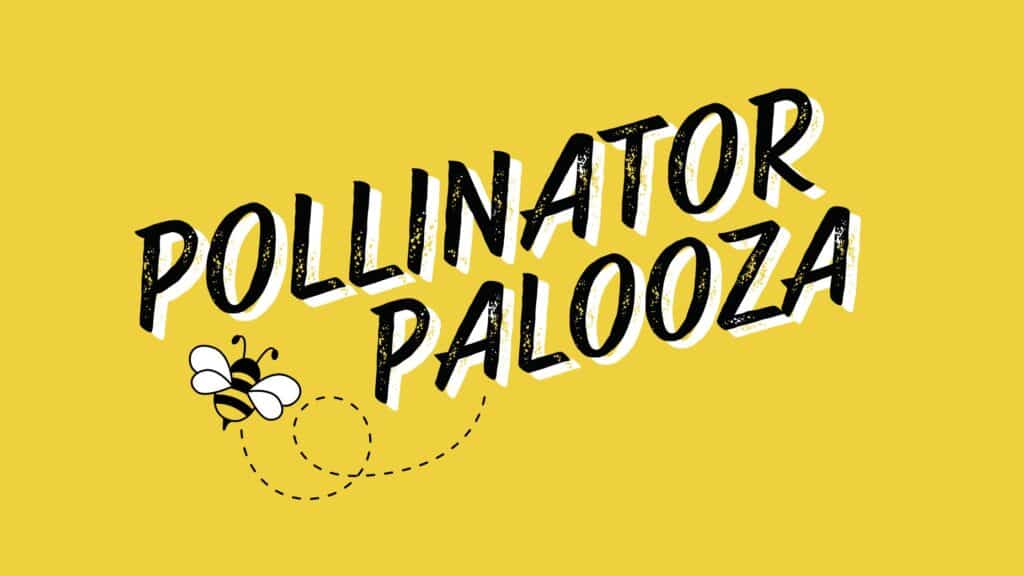 Pollinator Palooza