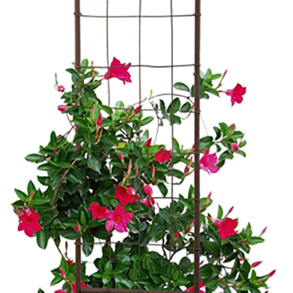 Rustic Woven Pot Trellis